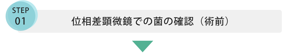 位相差顕微鏡での菌の確認（術前）