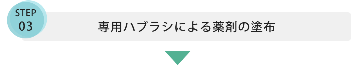 専用ハブラシによる薬剤の塗布